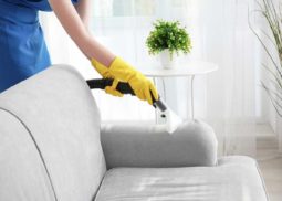 Upholstery Cleaning Broadmeadows